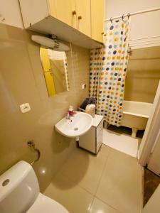 Ένα μπάνιο στο Historic Apartment