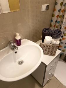 Ένα μπάνιο στο Historic Apartment