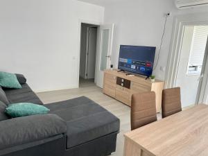 Televízia a/alebo spoločenská miestnosť v ubytovaní Ánade - Somhome
