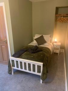 um quarto com uma cama com um cobertor verde em East Dart Inn em Yelverton