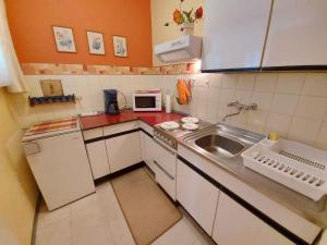 a small kitchen with a sink and a microwave at Apartments in Bad Mitterndorf - Steiermark 41117 in Bad Mitterndorf