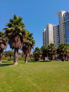 a park with palm trees and tall buildings at Apartamento cómodo y espectacular en Concón !! in Concón