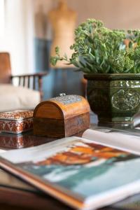 a table with a book and a potted plant on it at Sarah's - A townhouse apartment in Georgian Holt in Holt +32 photos