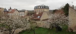 miasto z zamkiem i drzewami z białymi kwiatami w obiekcie Chantilly Villa Quincampoix w mieście Chantilly