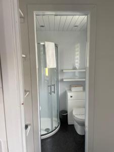 a bathroom with a toilet and a glass shower at Stags View Holiday Home in Portree