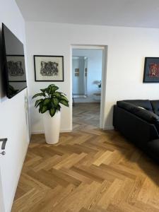 a living room with a couch and a potted plant at Villa Relax in Stresa