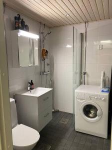 a bathroom with a washing machine and a toilet at Cozy studio in the city center in Rovaniemi