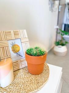 Photo de la galerie de l'établissement Neroli Apartments, à Nikiti 20 autres photos