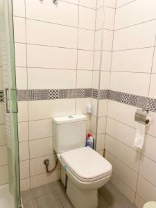 a bathroom with a toilet in a room at Neroli Apartments in Nikiti