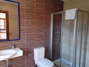 uma casa de banho com um WC, um lavatório e um chuveiro em Hotel San Martino em Pola de Lena