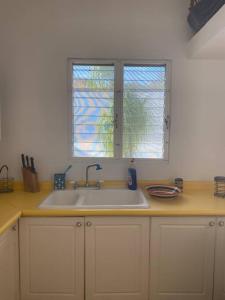 un comptoir de cuisine avec un évier et une fenêtre dans l'établissement Casa en la naturaleza, Colima, à Cuauhtémoc