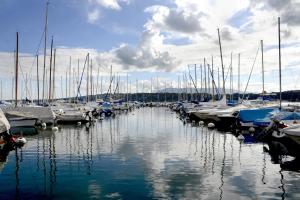 a bunch of boats docked in a harbor at The Ambassador in Geneva