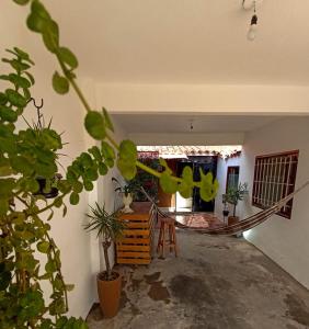 a living room with plants and a hammock in it at Acogedor independiente-Casa JH B in Santa Cruz de la Sierra