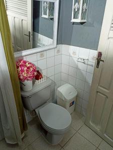 a bathroom with a toilet and a mirror and flowers at Acogedor independiente-Casa JH B in Santa Cruz de la Sierra