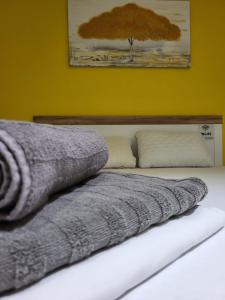 プレヴェンにあるДунав Билдингс 2のベッド(上に毛布付)
