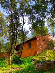 uma casa de madeira com uma árvore e uma pedra em L'Aravone Lodge em Sartène