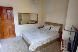 a bedroom with a bed and a mirror at Giannis Traditional House in Vamos