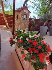 A garden outside Plaisir Rooms