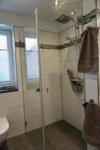 a bathroom with a shower and a toilet at Ferienwohnung am Bach 
