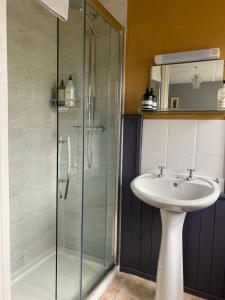a bathroom with a sink and a glass shower at An Riasc B&B in Ballydavid