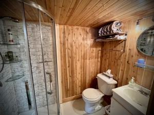 La salle de bains est pourvue d'une douche, de toilettes et d'un lavabo. dans l'établissement Domaine Gagnon, à Saint-Sébastien