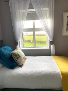 1 dormitorio con 1 cama y ventana en An Riasc B&B, en Ballydavid