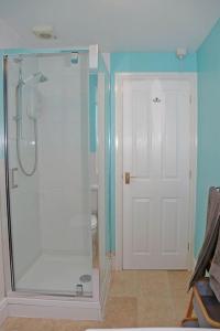 uma casa de banho com um chuveiro e uma porta de vidro em The Cosy West Wing, dog friendly em Martham