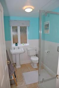 a bathroom with a toilet and a sink and a shower at The Cosy West Wing, dog friendly in Martham
