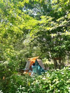 Gallery image of Cayuco Camping Barú in Baru