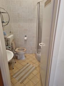 een badkamer met een toilet en een wastafel bij Anita Medulin Apartment in Medulin