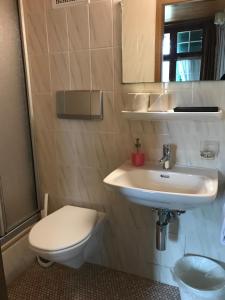 a bathroom with a sink and a toilet and a mirror at Gasthaus zum Goldenen Kreuz in Rafz