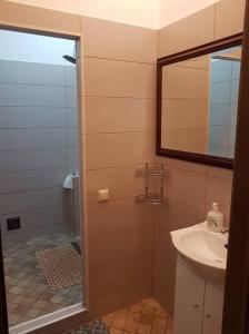 a bathroom with a shower and a sink and a mirror at Apartamentai, su nemokama vieta automobiliui in Saugos
