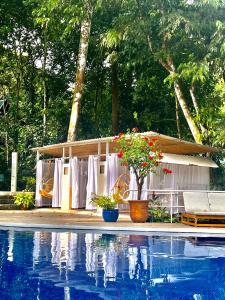 una pequeña casa con piscina frente a ella en ECOTICA Boutique Hotel, en Manuel Antonio