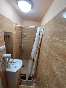 a bathroom with a sink and a shower and a toilet at Oázis Vendégház és Appartman in Szilvásvárad