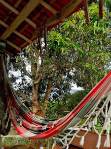 a hammock with a tree in the background at Pousada e Chalés Arco-Íris in Lima Duarte