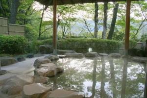 a pool of water with rocks in a garden at Senkyoro in Hakone +26 photos