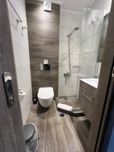 a bathroom with a shower and a toilet and a sink at Oasis in Sarti