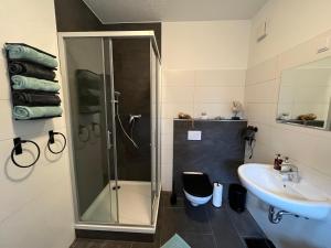 a bathroom with a shower and a sink at Ferienhaus Renate in Meiningen