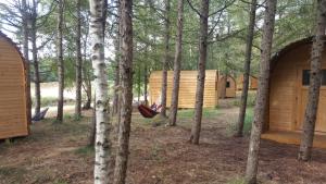 a hammock in the middle of a forest with trees at Glamping Pod im Wald mit Einzelbetten in Nordholz