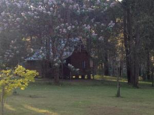 una vecchia casa in mezzo a un campo con alberi di Beyonderup Falls Adult Retreat a Nannup
