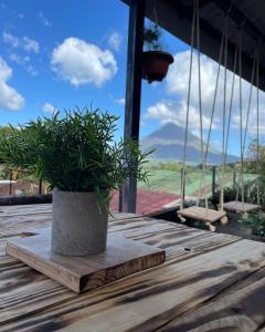 een plant in een pot zittend op een houten tafel bij Los Tucanes Lodging in El Castillo de La Fortuna