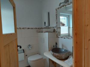 a bathroom with a sink and a toilet and a mirror at Ferienwohnung Almsuite Fritz in Wald im Pinzgau