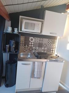uma cozinha com um lavatório e um micro-ondas em Le CLOS D'AMANDINE em Sallèles-dʼAude