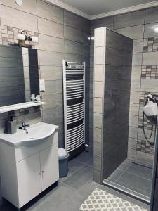 een badkamer met een wastafel en een douche bij Sátor-Hegy Vendégház in Abaújszántó