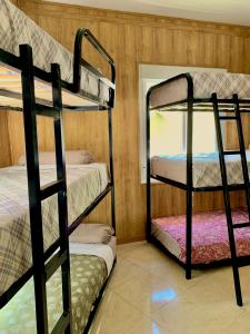 two bunk beds in a room with a window at Hostel Best Stay in Madrid