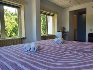 1 dormitorio con 1 cama grande y toallas. en Hotel Restaurant Sence, en Burgh Haamstede