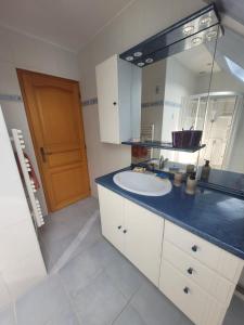 een badkamer met een wastafel en een grote spiegel bij Chez Jo 