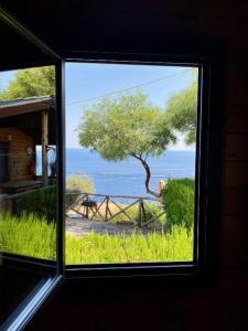 ein Fenster mit Blick auf einen Baum und das Meer in der Unterkunft Villaggio Syrenuse Residence in Massa Lubrense