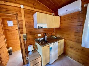 una cucina con pareti in legno, piano cottura e lavandino di Villaggio Syrenuse Residence a Massa Lubrense