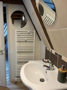 Koupelna v ubytování Le Trésor 4 pers à 20 minutes de Beauval